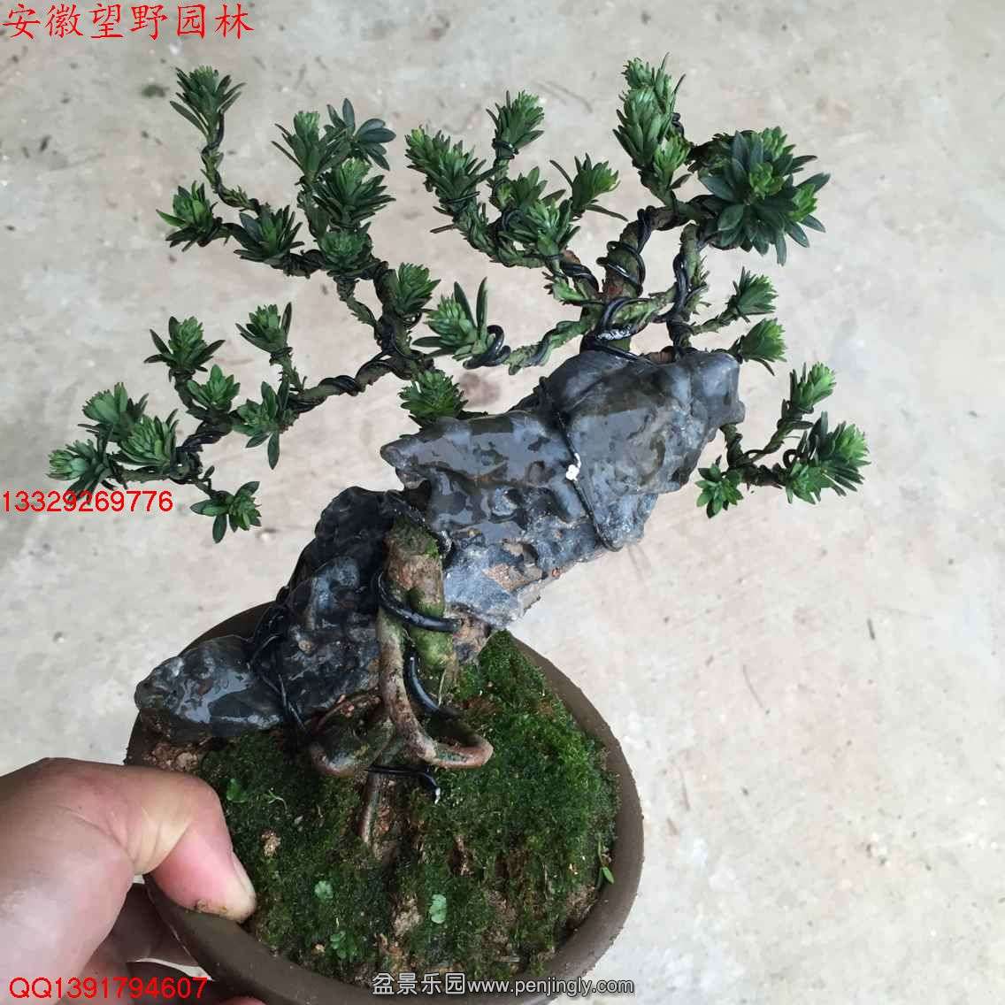 57F7D721C55397C9DB321D097E7888CD.jpg