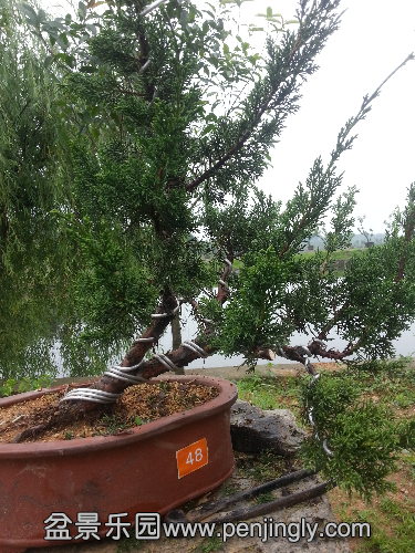 20150526_083800.jpg