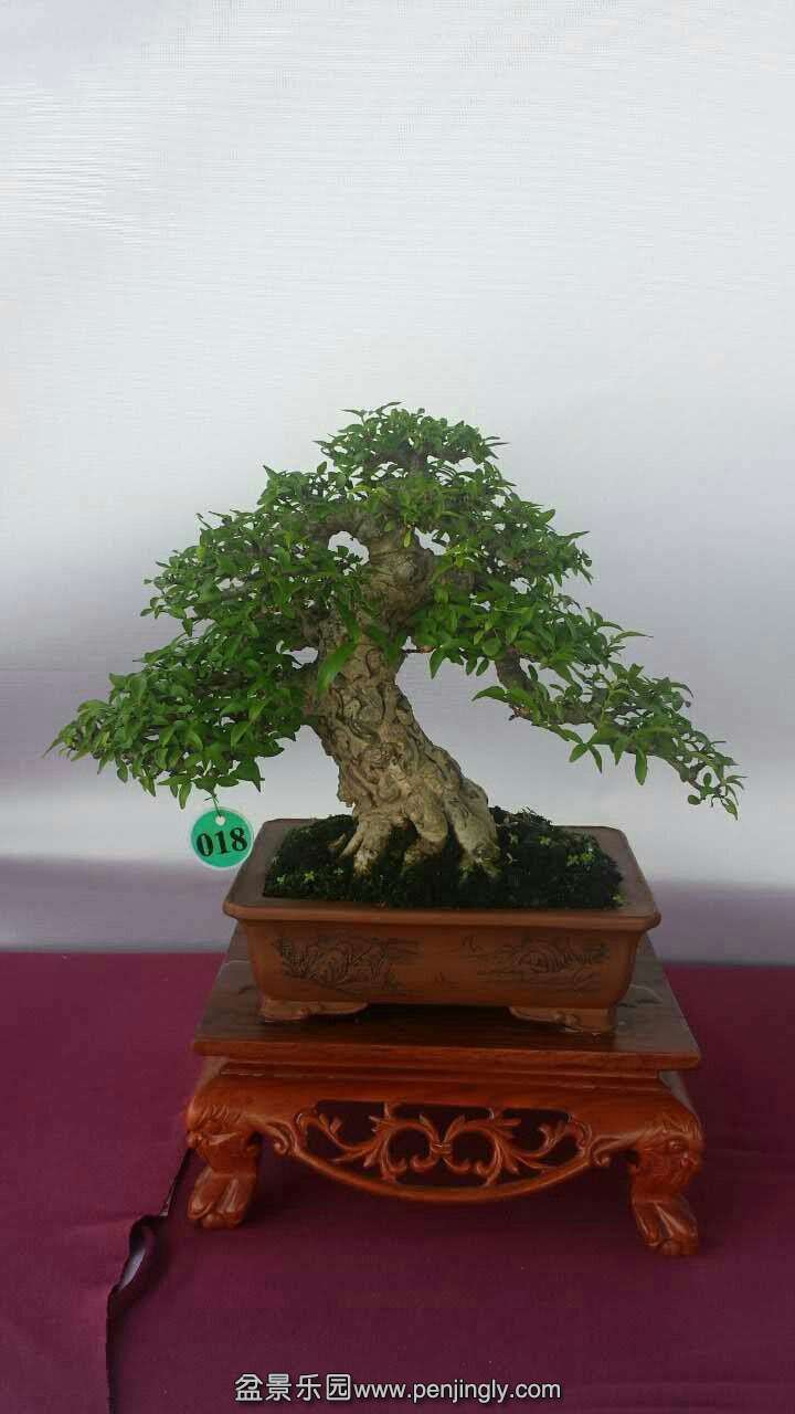 mmexport1433413232054.jpg