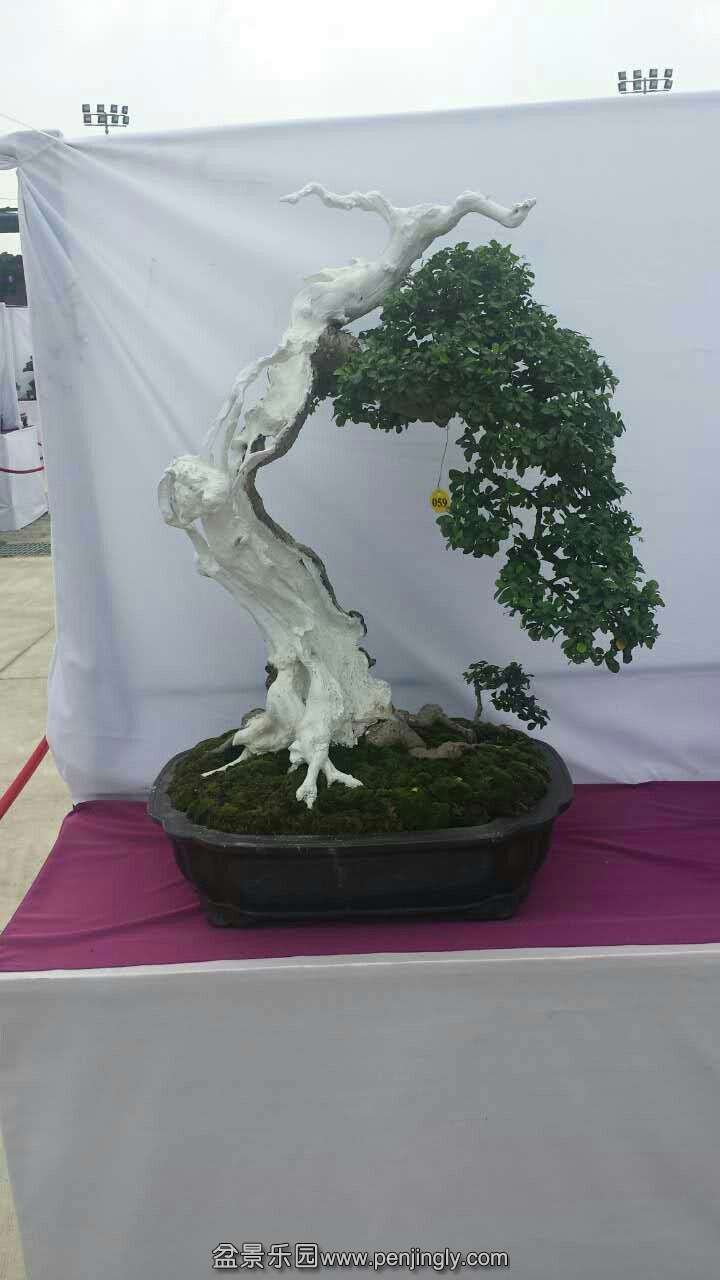 mmexport1433413065353.jpg