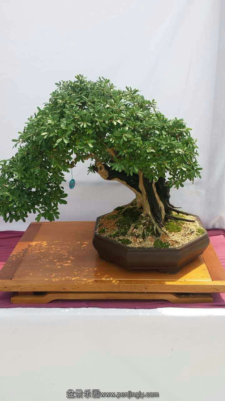 mmexport1433413209510.jpg