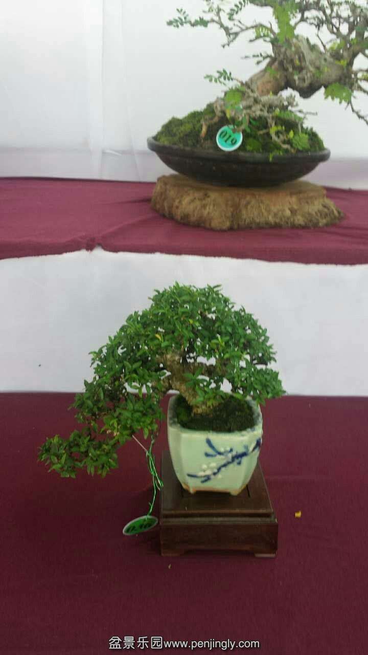 mmexport1433413029268.jpg