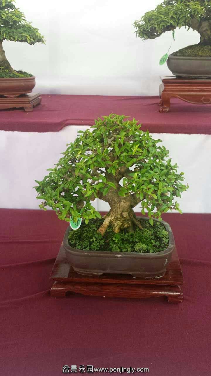 mmexport1433413029902.jpg