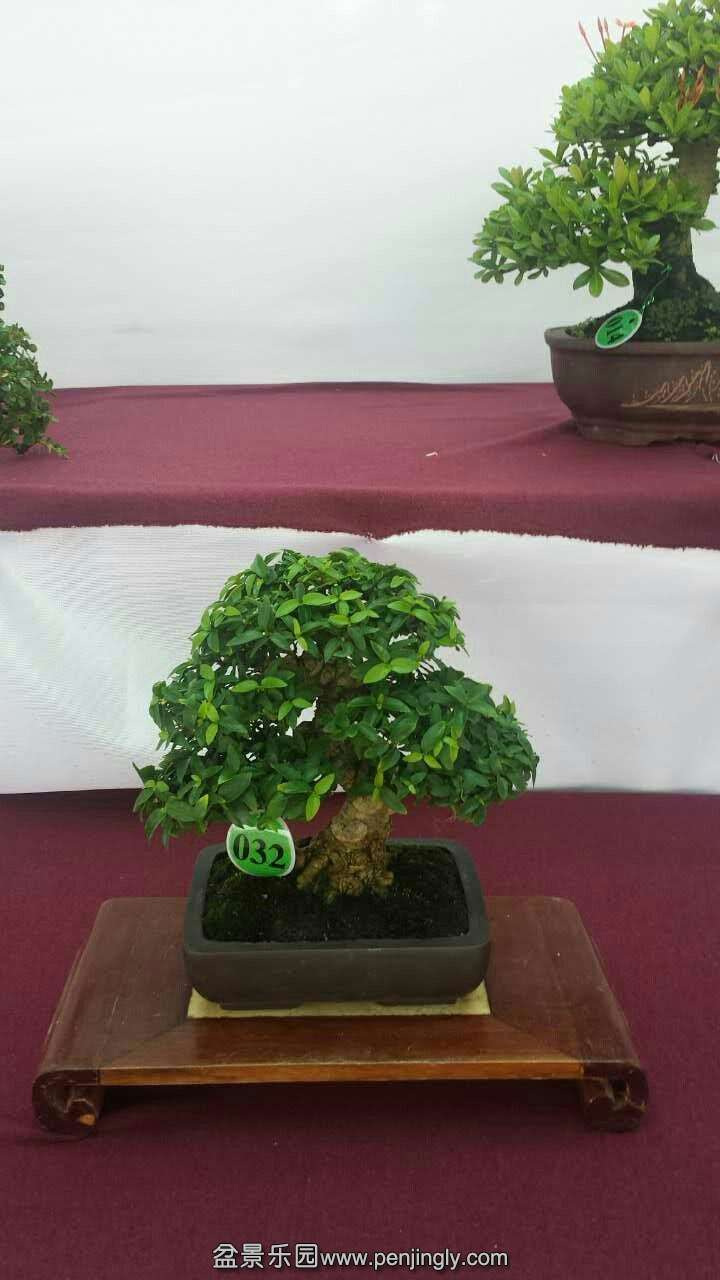 mmexport1433413031482.jpg