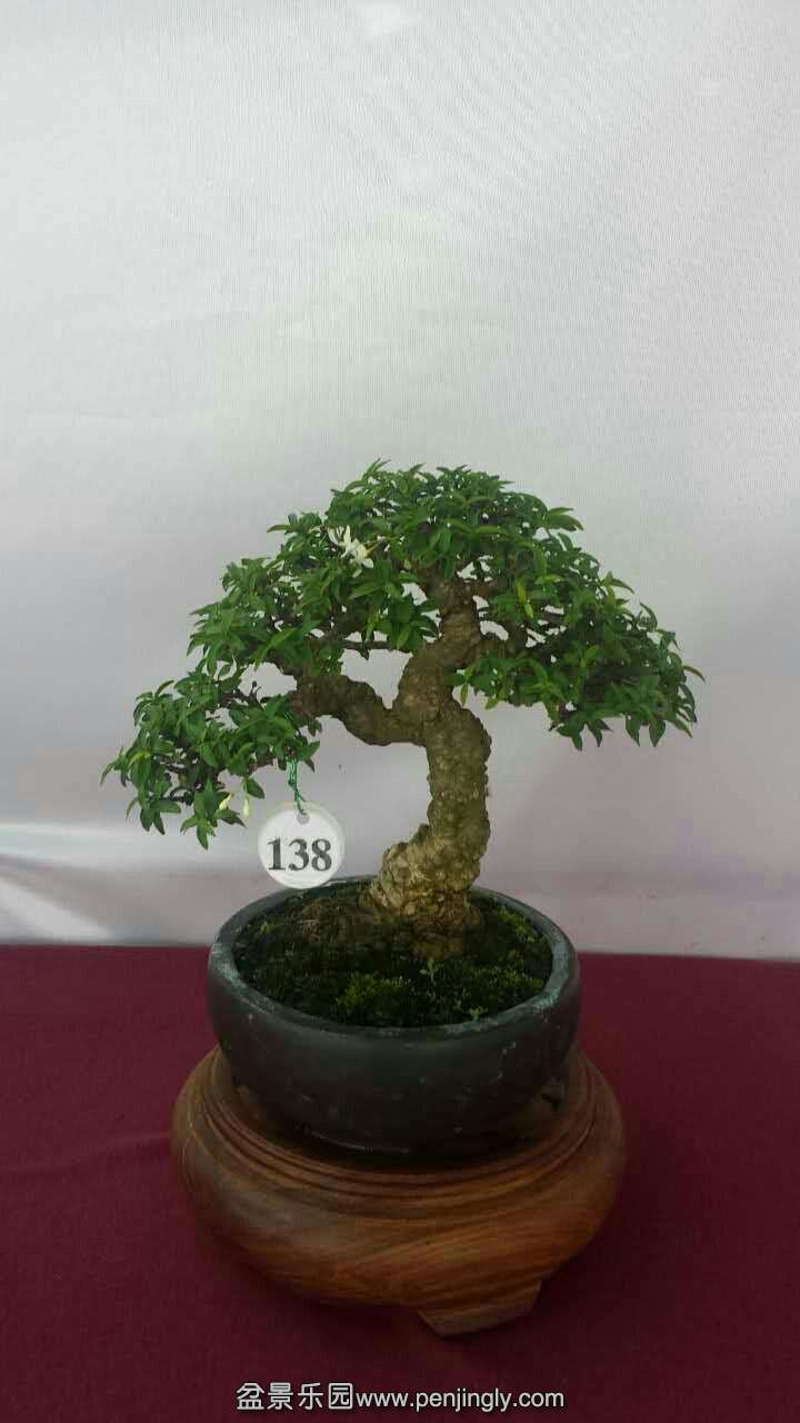 mmexport1433413033525.jpg