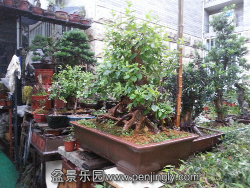 20150605_185901.jpg
