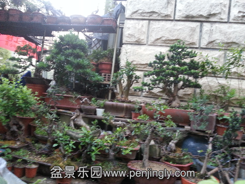 20150605_185919.jpg