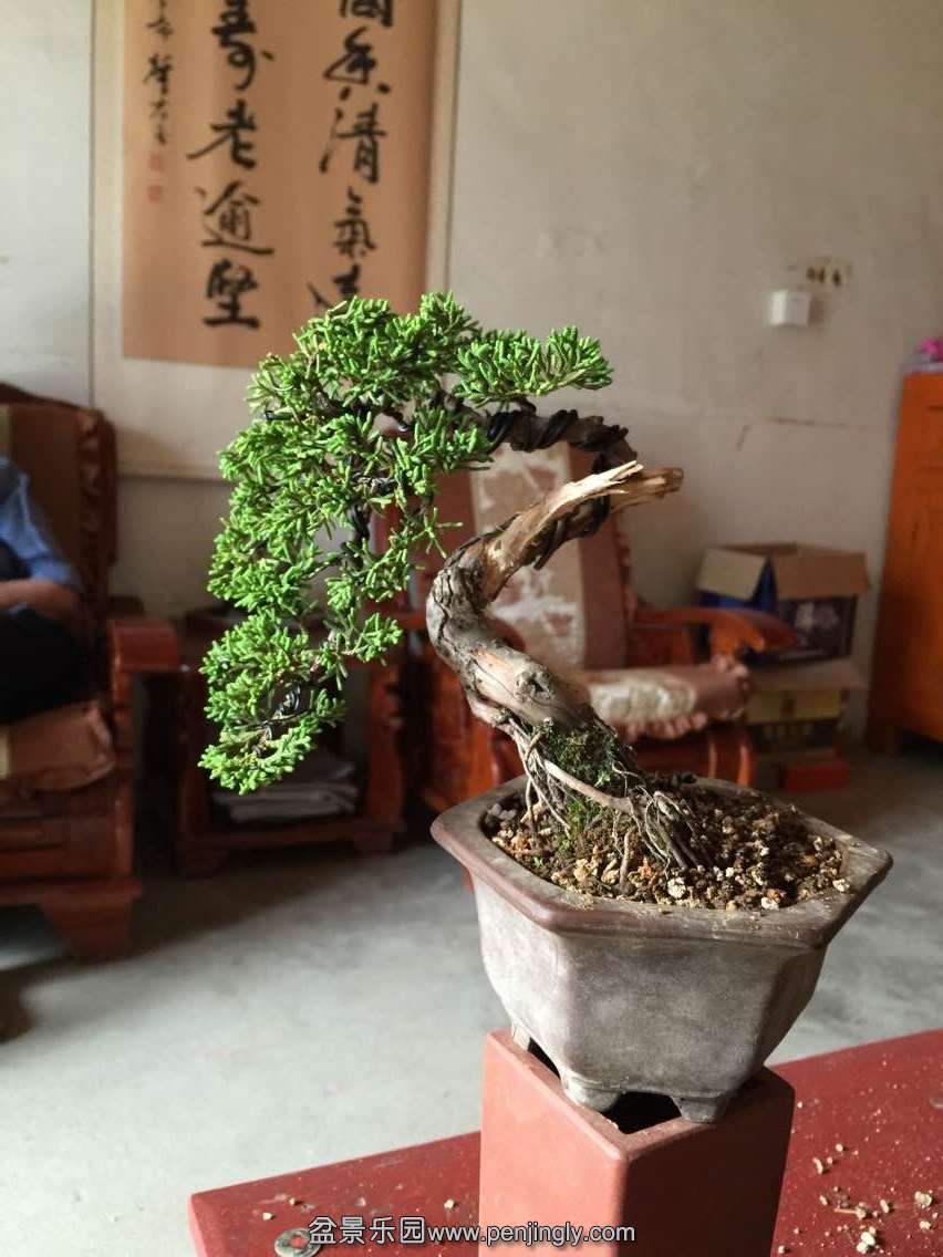 QQͼƬ20150606193150.jpg