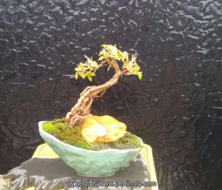 2015-06-03 20.18.37.jpg