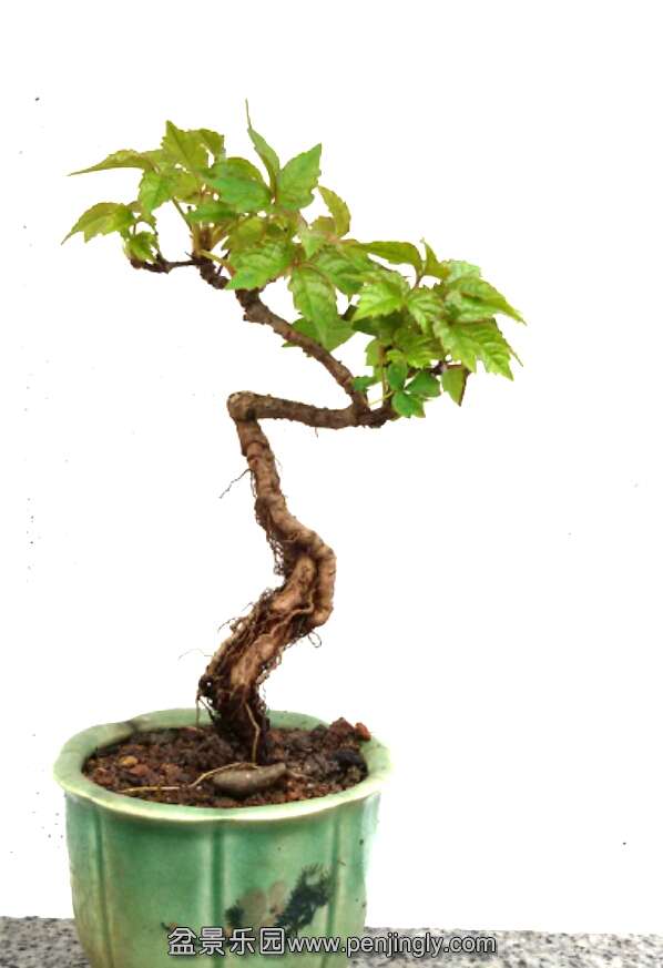 2015-06-05 19.49.02.jpg