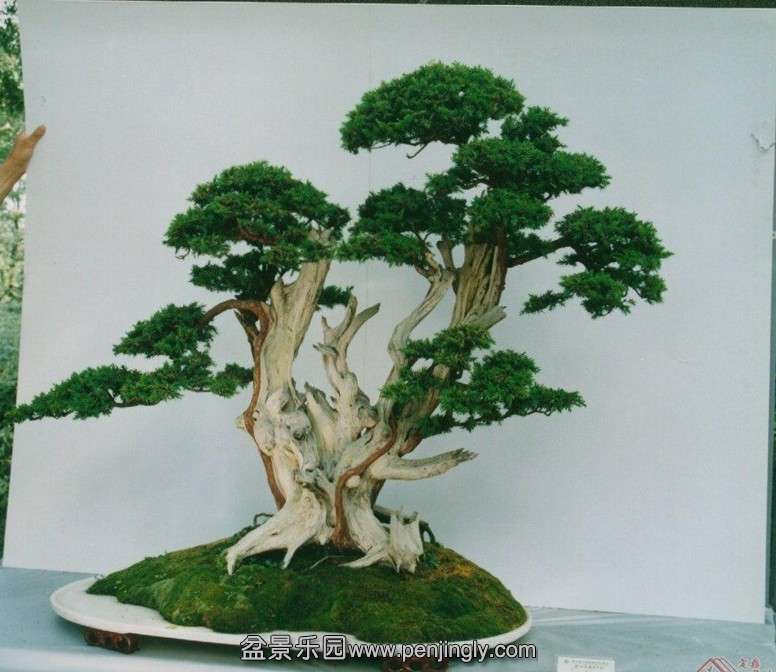 030809823.jpg