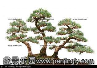 u=3049231585,3974868343&amp;fm=21&amp;gp=0.jpg