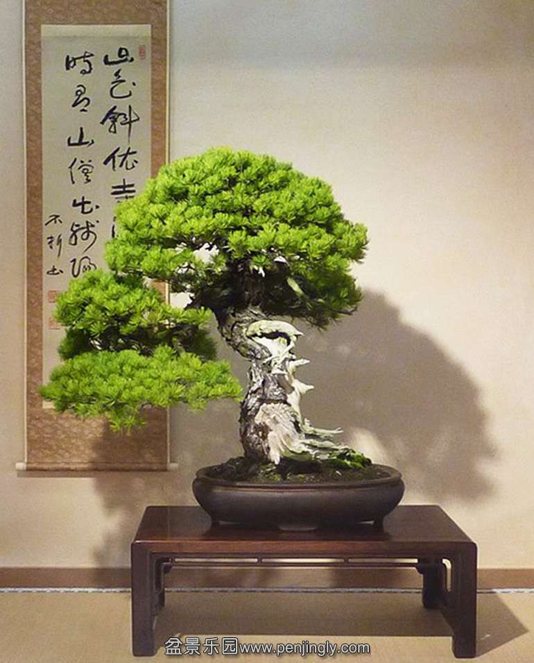 Shungaku.jpg