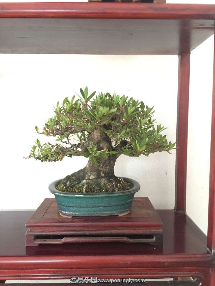 QQͼƬ20150609140602.jpg