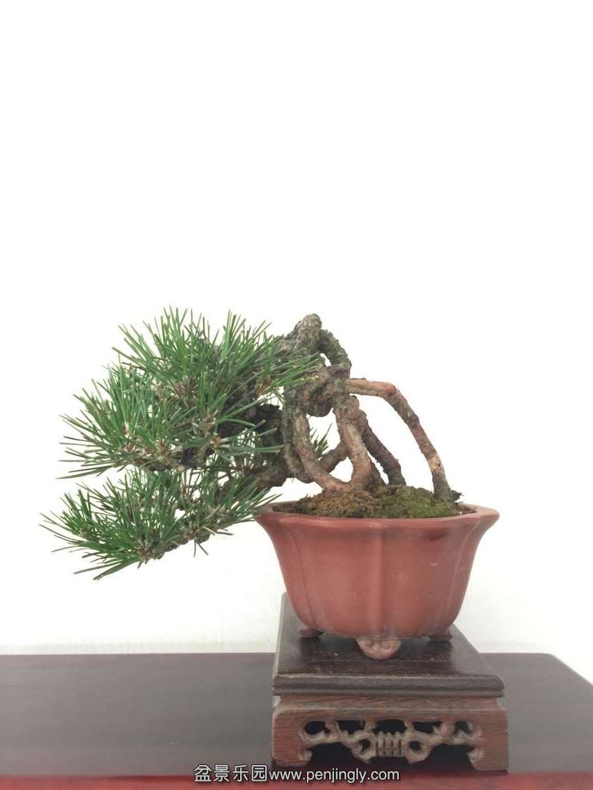 QQͼƬ20150609140615.jpg