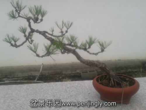 20140920_151318.jpg