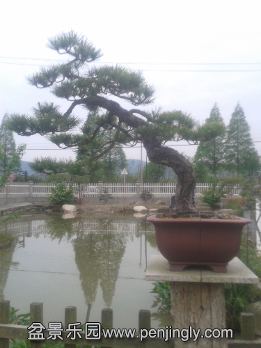 20150424_141000.jpg