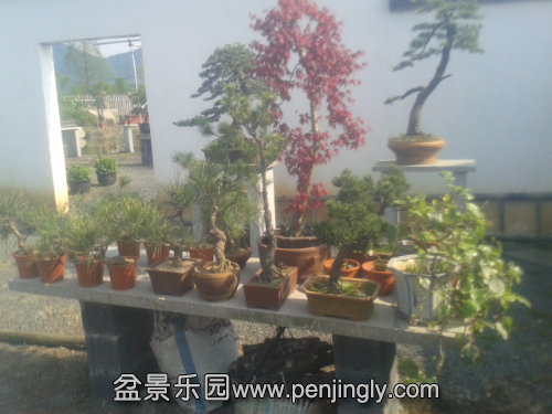 20150414_151251.jpg