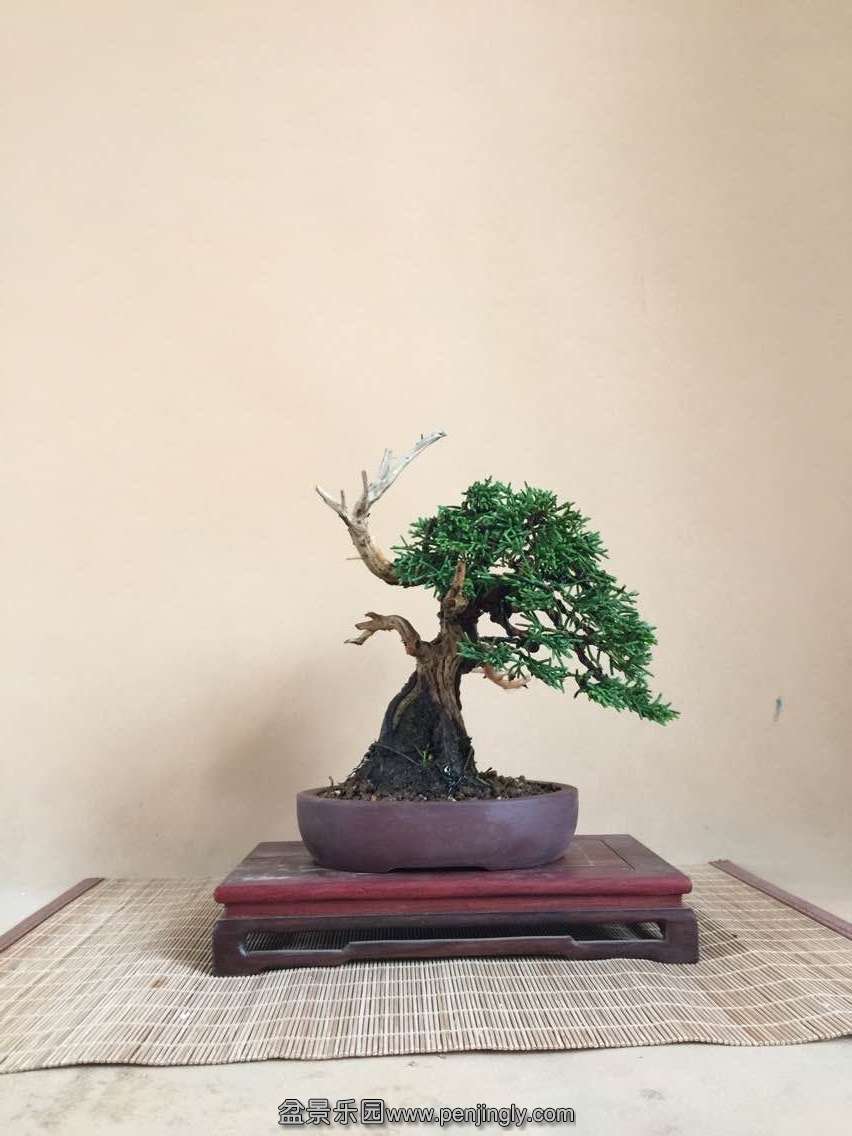 QQͼƬ20150610150514.jpg