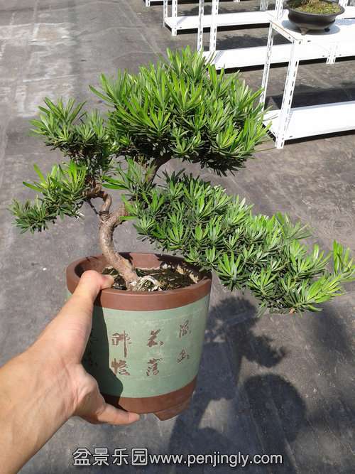 20153858.22.jpg