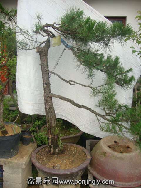DSC03421_.jpg