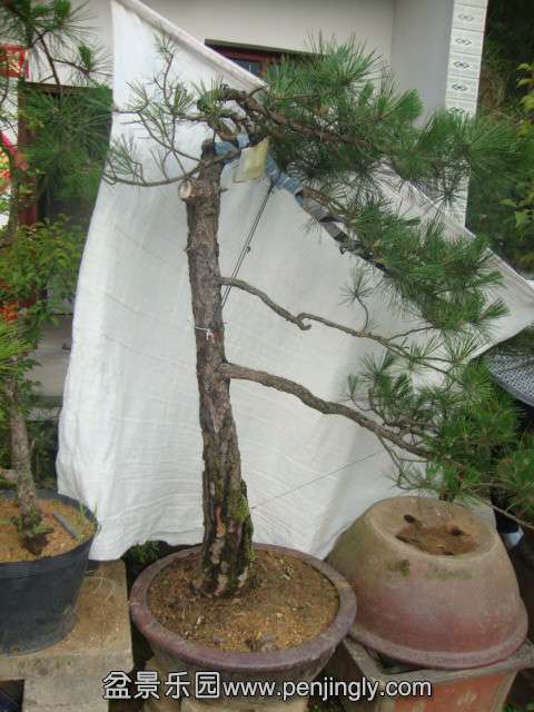 DSC03422_.jpg