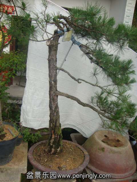 DSC03423_.jpg