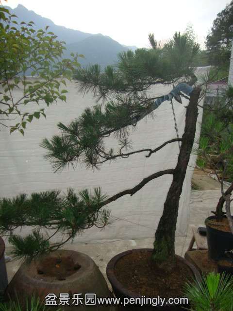 DSC03424_.jpg