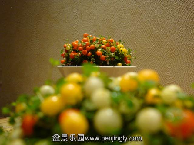 DSC01070.JPG