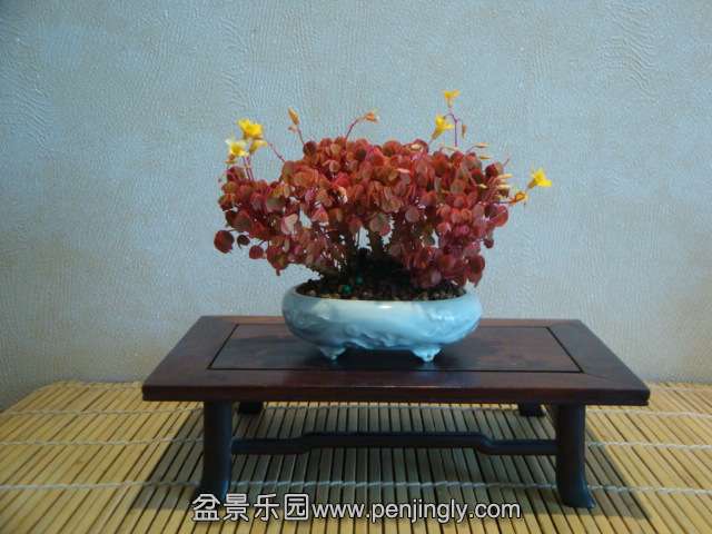DSC01081.JPG