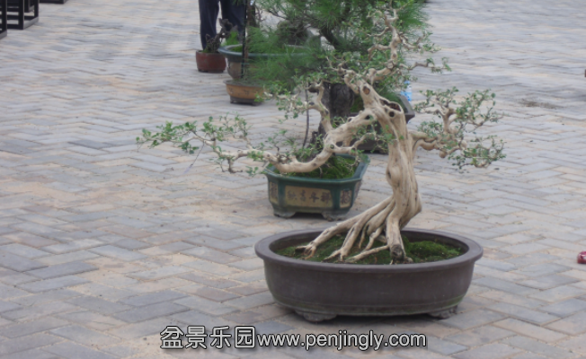 QQͼƬ20150615195147.png