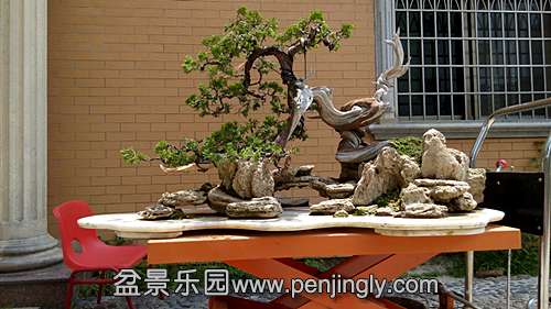 IMG_20150611_110519_.jpg