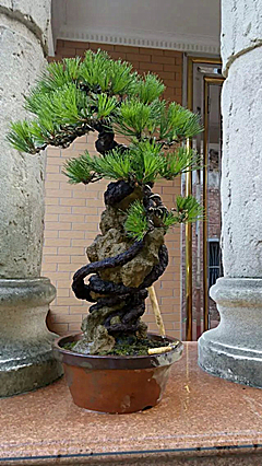 psb (4)_����.jpg