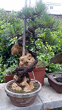 psb (3)_����_����.jpg