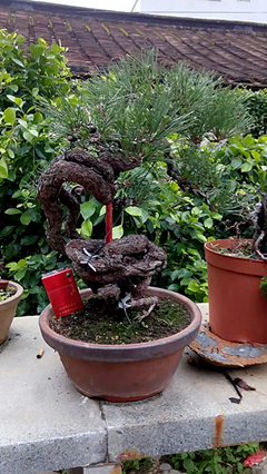 psb (2)_����_����_����.jpg