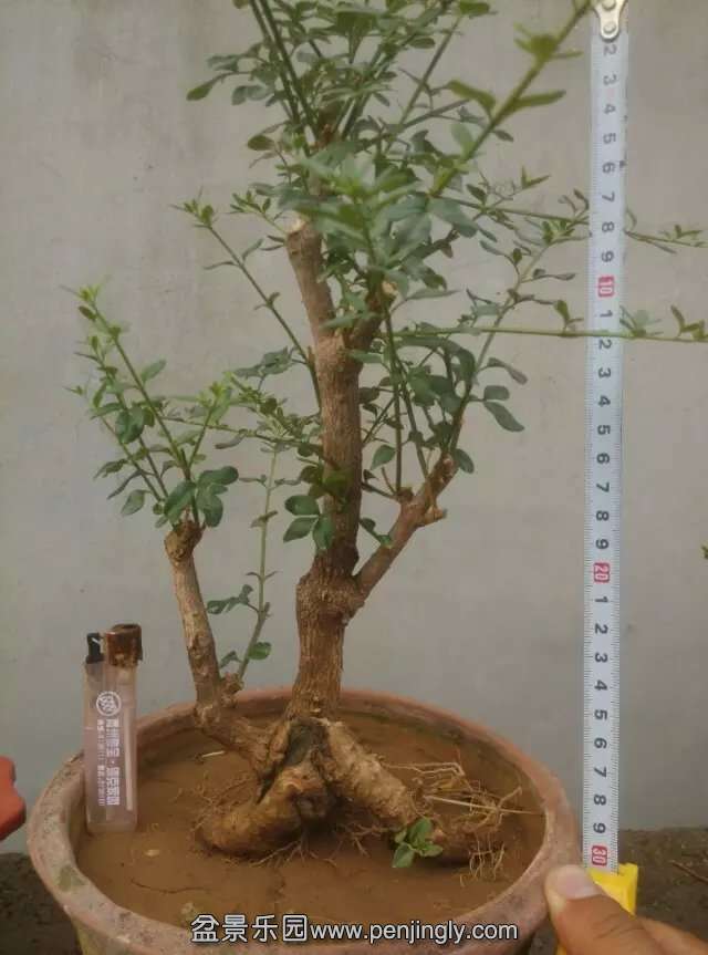 20.jpg