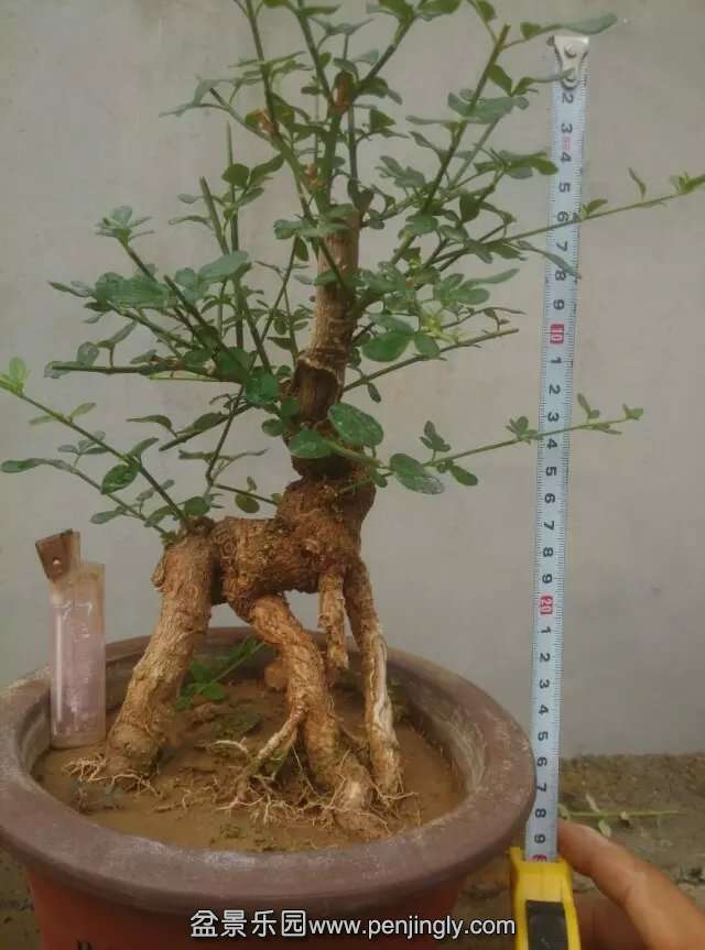 22.jpg