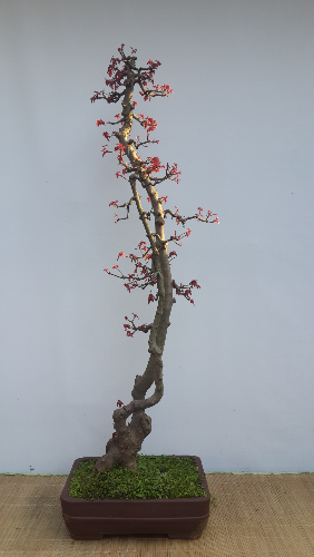 20150330_170504.jpg