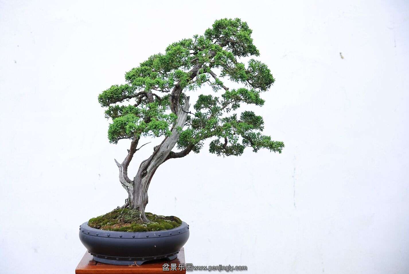 QQͼƬ20150621143619.jpg