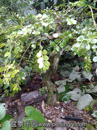 20150621_160836.jpg