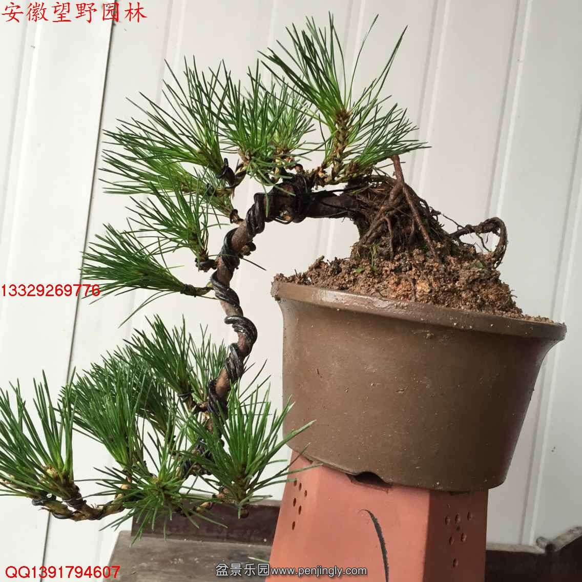 CE4E0D41AC9CB36B497893826FEF609A.jpg