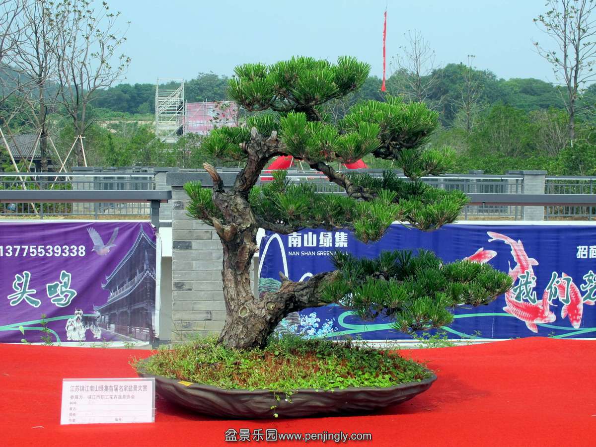 19.jpg