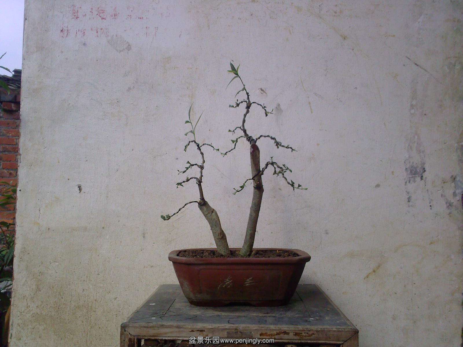 20150623173829.jpg