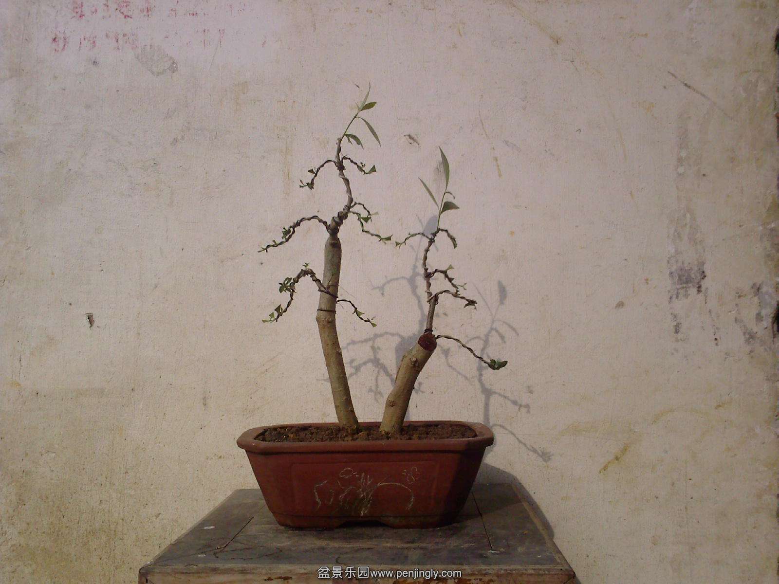 20150623173906.jpg