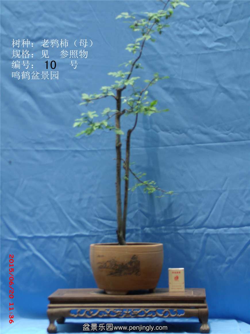 GEDC0370_.jpg