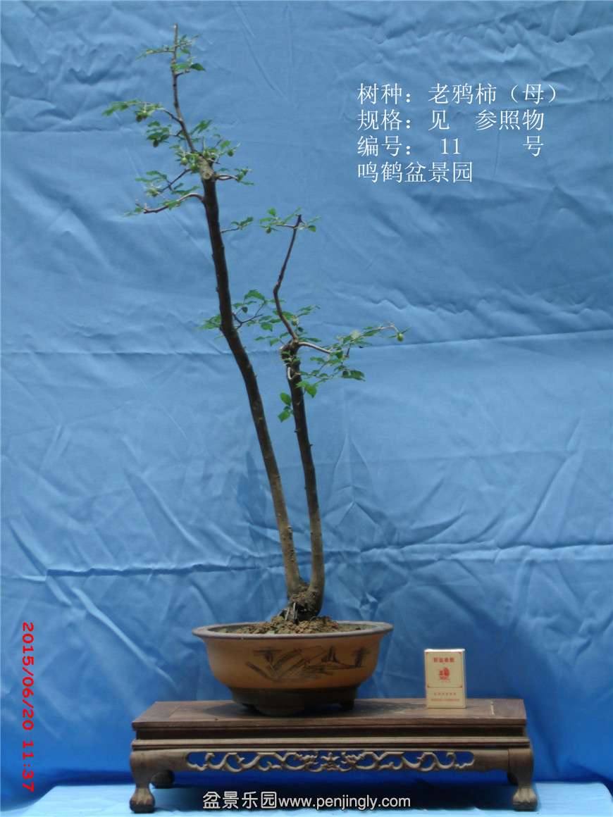 GEDC0371_.jpg