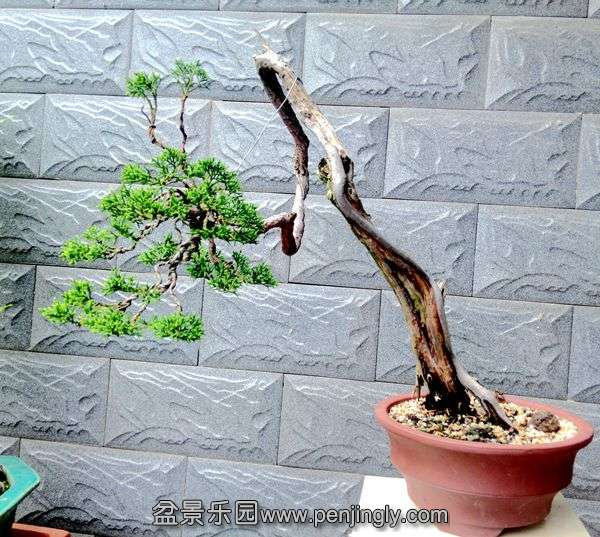 Ƭ2014.9.28 011.jpg
