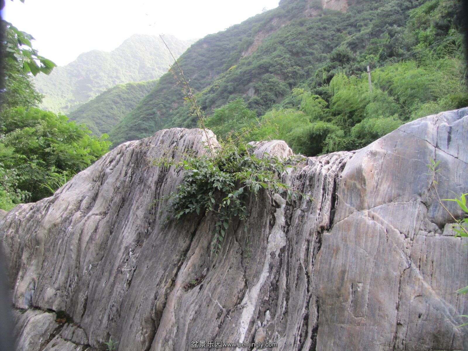 QQͼƬ20150626150733.jpg