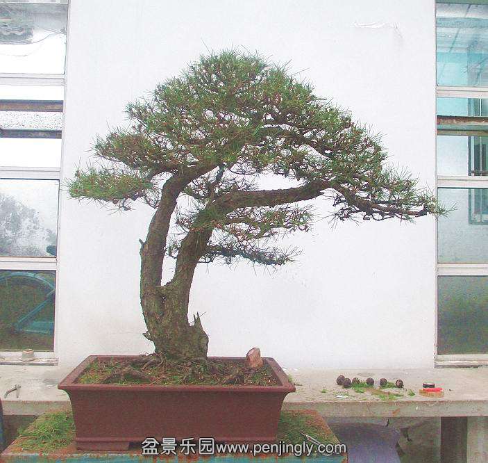 ���� IMG_3232.JPG