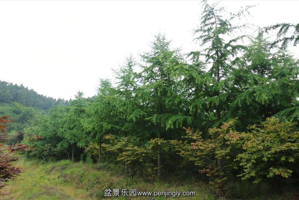 QQͼƬ20150628201224.jpg